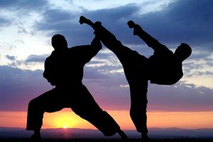 Спортивные добавки для боевых искусств